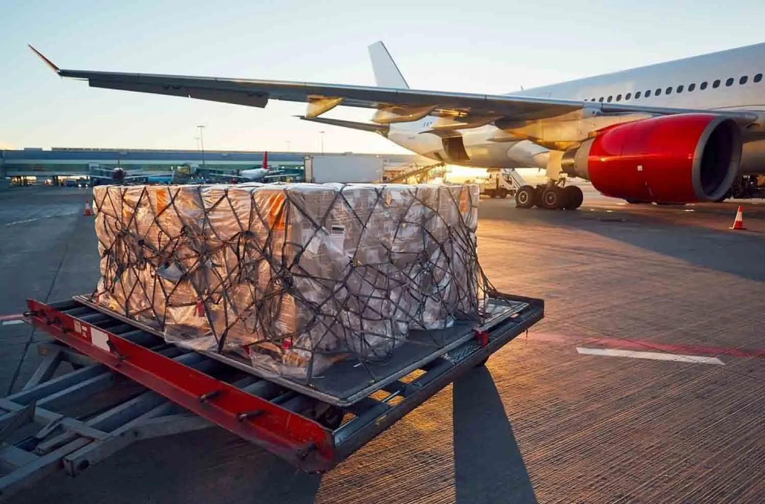 Havayolu değerli yük taşımacılığı yüksek güvenlik